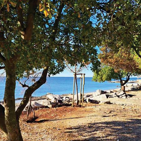 Apartment Istria Zambratija  Ngoại thất bức ảnh